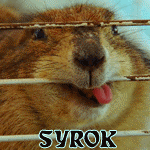 Аватар для Syrok